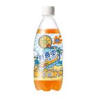 * 新奇士橙汁汽水500ml